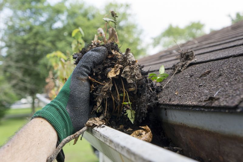 Soffit Dirt Removal