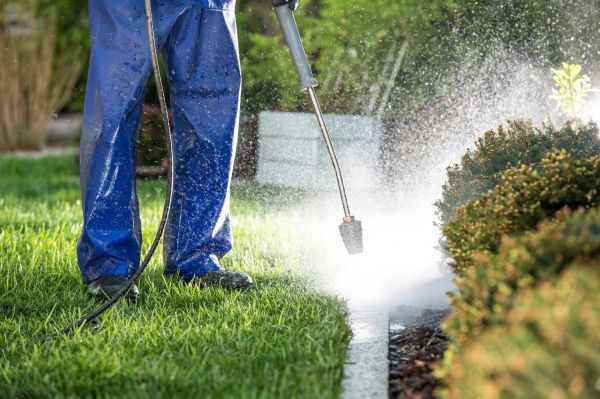 Curb Cleaning in Champaign
