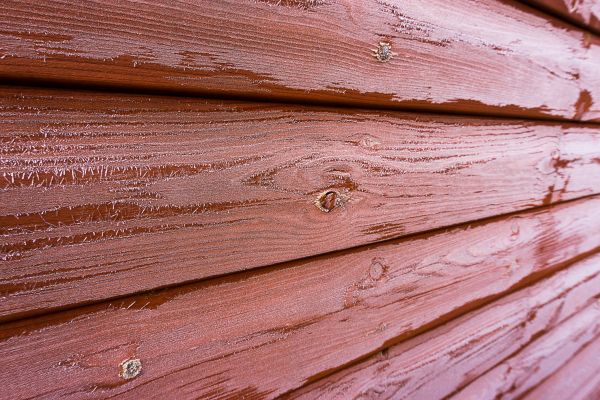 Cedar Siding Cleaning in Champaign