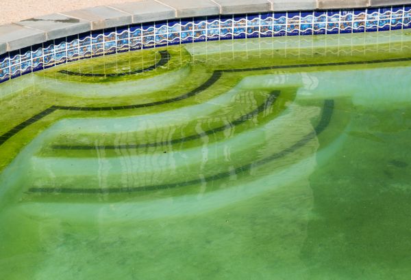Pool Deck Algae Removal in Champaign