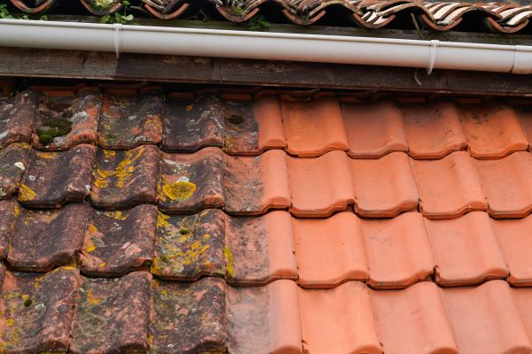Industrial Roof Cleaning in Champaign