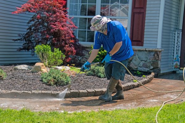 Brick Walkway Cleaning in Champaign