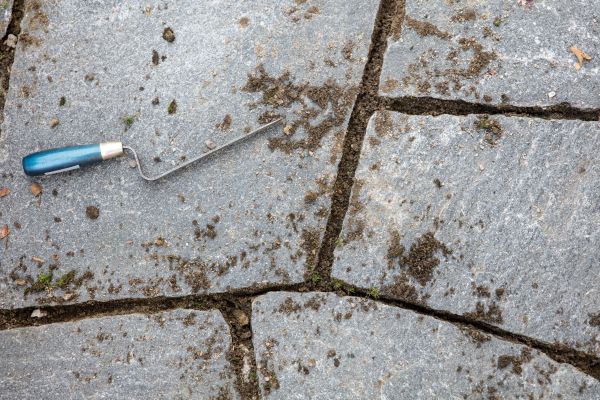 Flagstone Patio Cleaning in Champaign